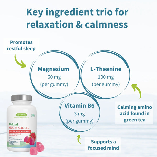 magnesium vitamin b and l theanine