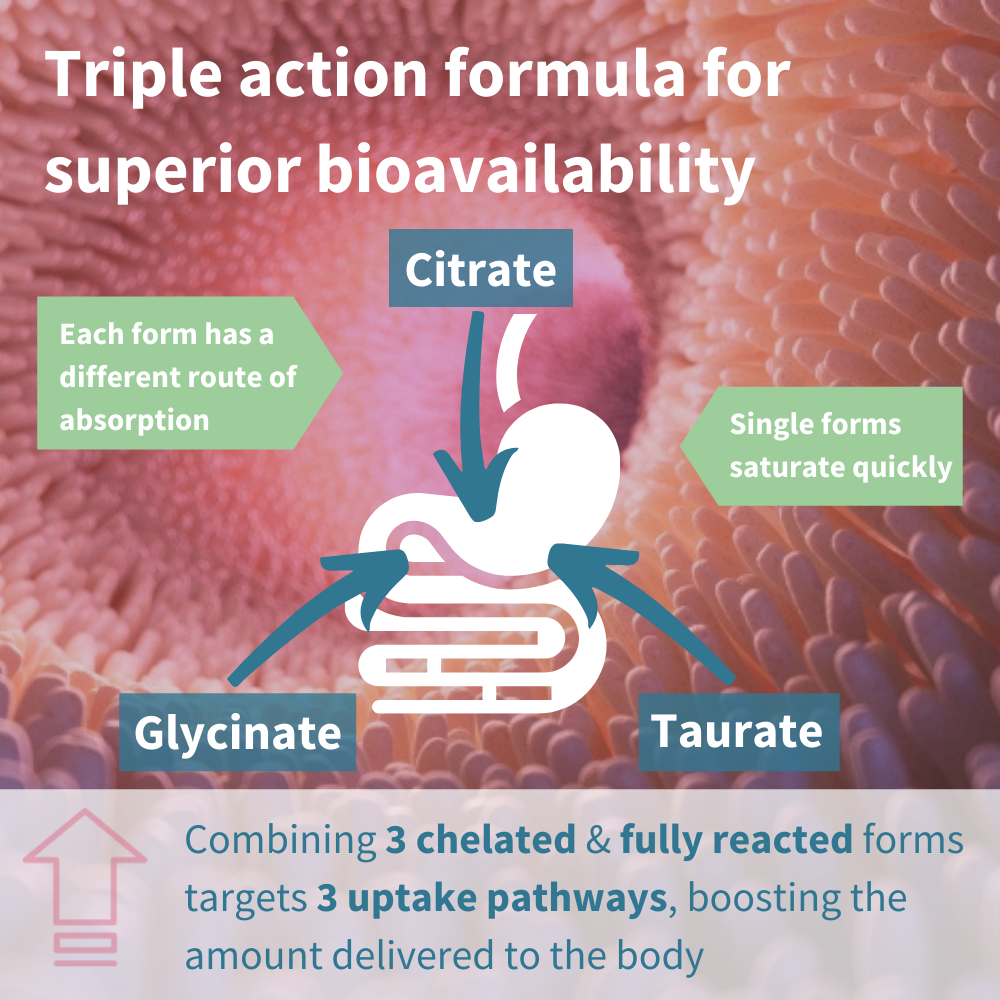 Triple Magnesium Complex high absorption Igennus Healthcare Nutrition