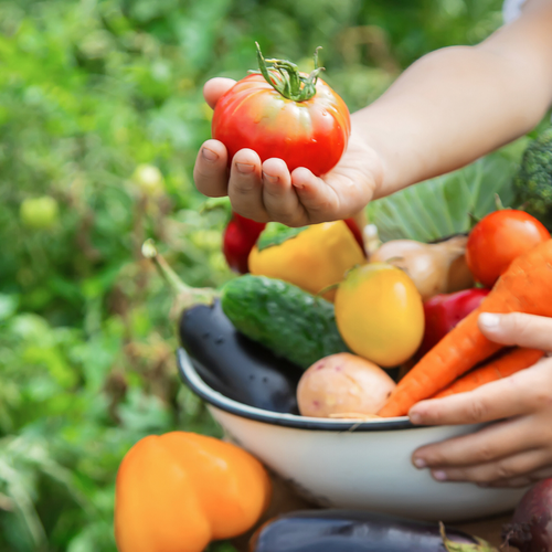 How to nourish fussy little eaters