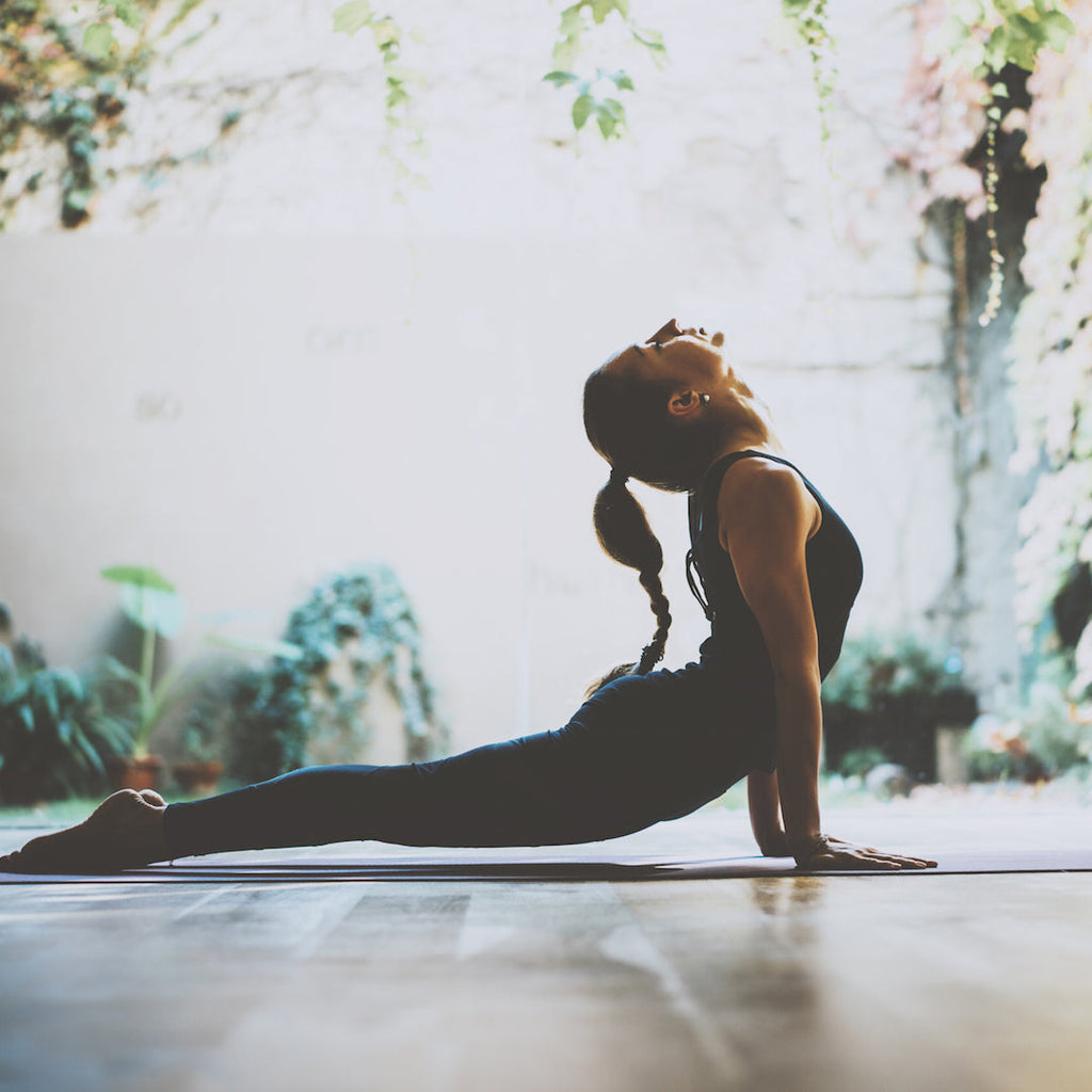 Supporting health following exposure to mould spores and mycotoxins