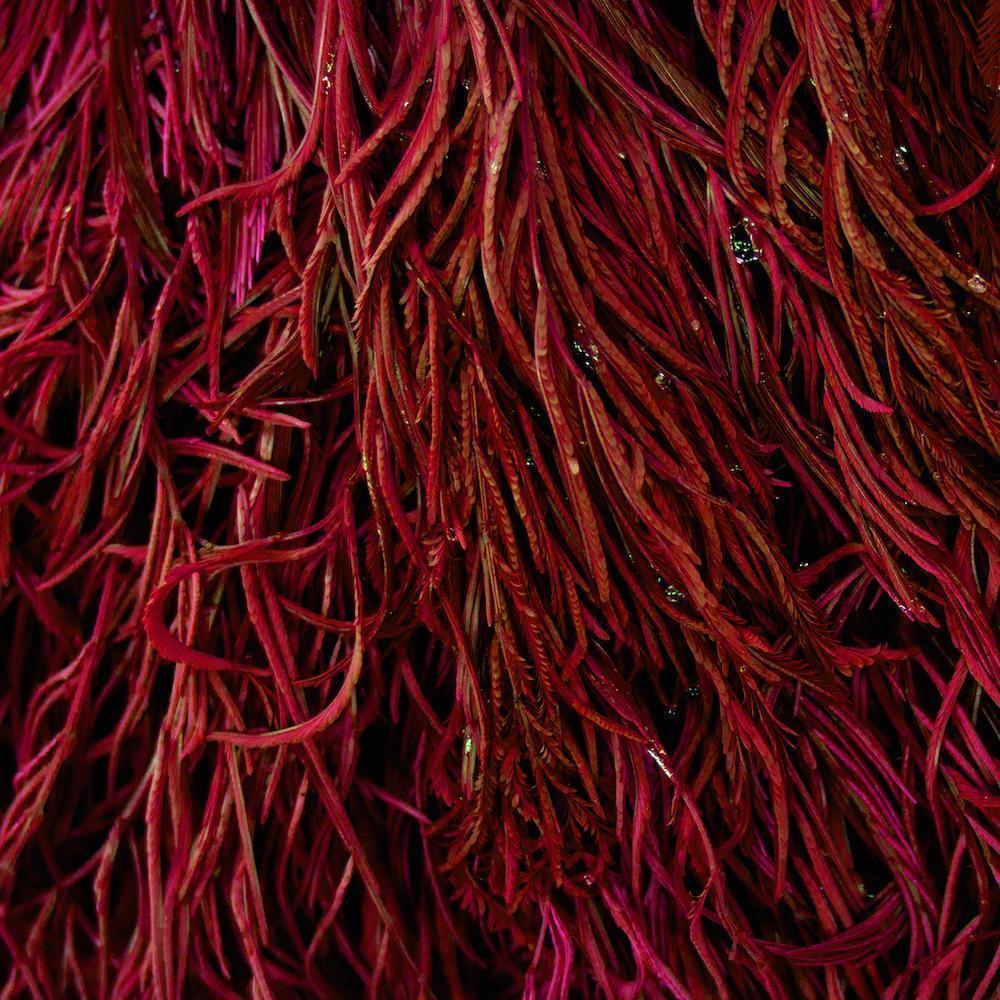 Benefits of astaxanthin – nature’s most powerful antioxidant