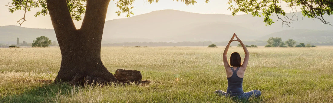 Ashwagandha - Support stress and provide a sense of calm