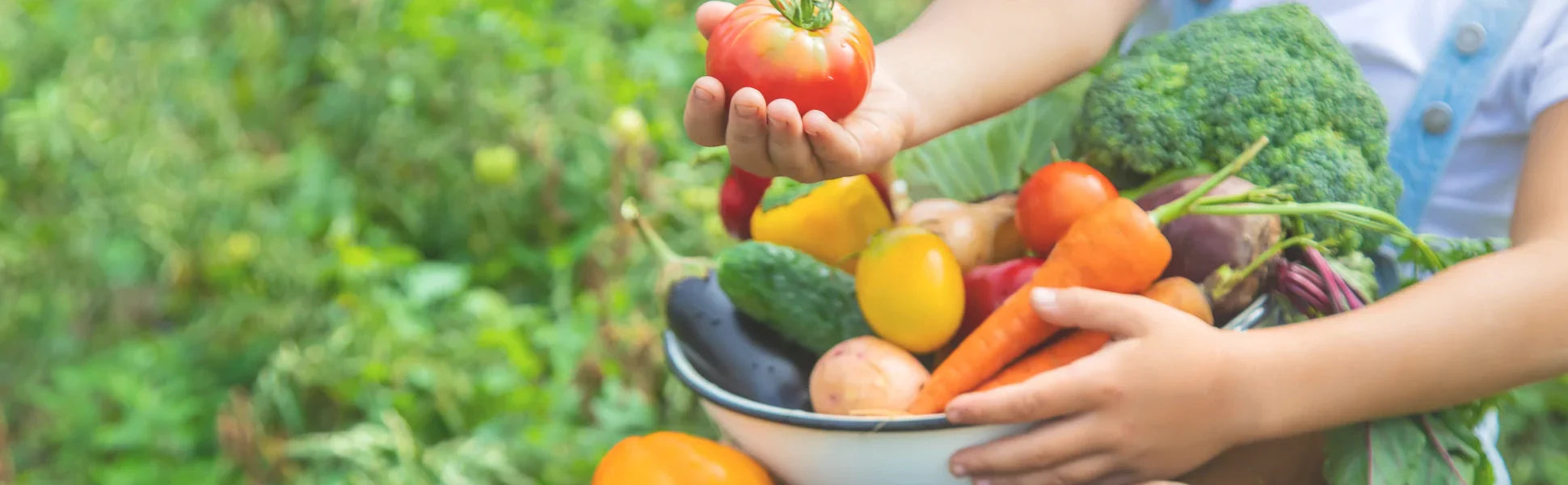 How to nourish fussy little eaters