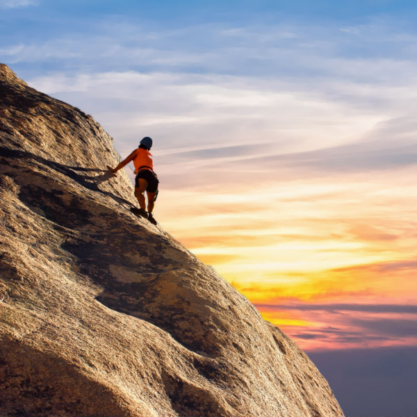 Health coaching in practice: helping your clients achieve their health goals