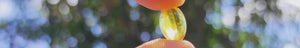 logo-image