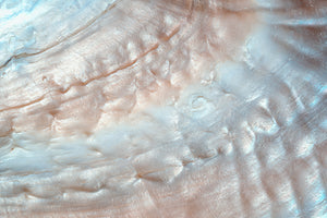logo-image