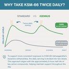 Comparison chart showing KSM-66 dosing between 'Standard' and 'IGENNUS' approaches, with a focus on maintaining cellular levels throughout the day.