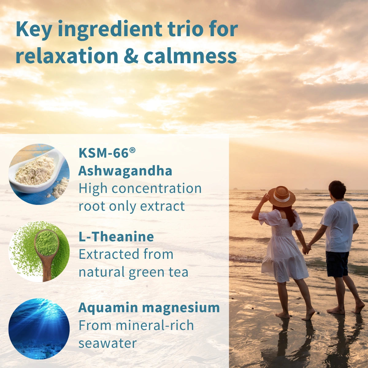 Ashwagandha+ L-Theanine & Magnesium, Adaptogen Complex with KSM-66, Zinc & B Vitamins, Vegan, 60 Capsules