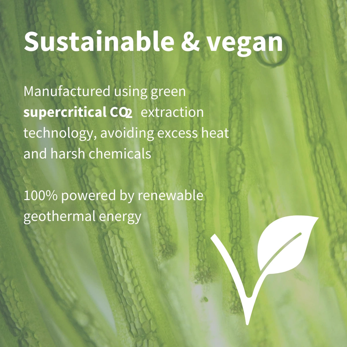 Astaxanthin Complex, 4mg Astaxanthin from 42mg, Vegan, 90 Softgels