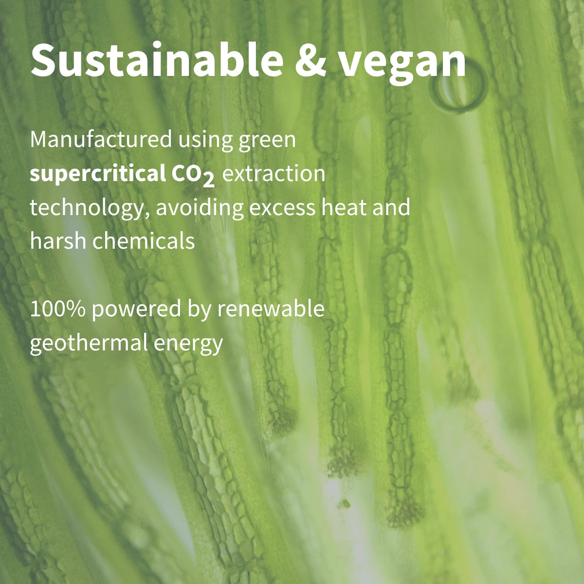 Astaxanthin Complex, 4mg Astaxanthin from 42mg, Vegan, 90 Softgels