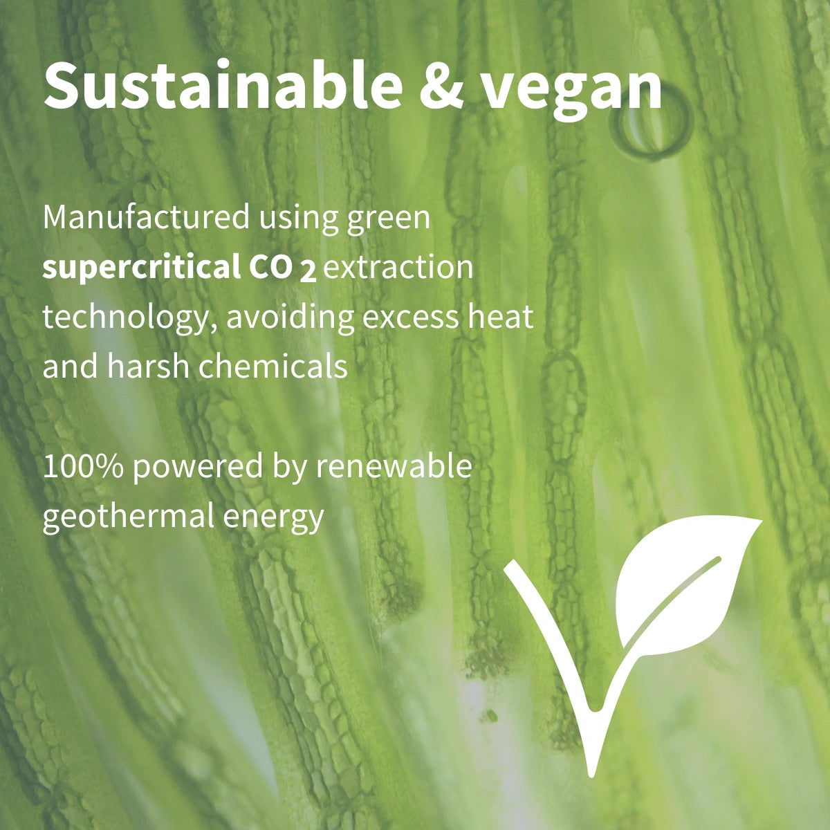 Astaxanthin Complex, 4mg Astaxanthin from 42mg, Vegan, 90 Softgels