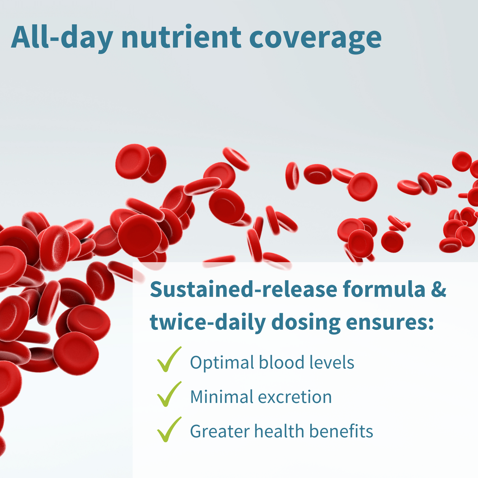 Methylated Super High Absorption BVitamin Supplement with