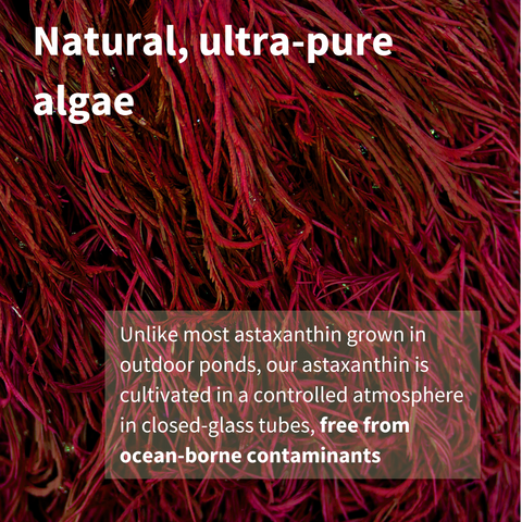 Pure & Essential Astaxanthin Complex, 4mg Astaxanthin from 42mg, Vegan, 90 Softgels