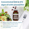 Vegan Omega-3 DHA & EPA 600mg & Astaxanthin, 60-180 Softgels