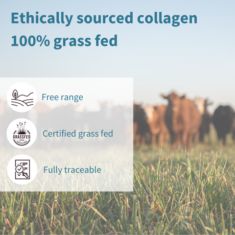 Advanced Hydrolysed Collagen Peptides – 100% Grass-fed Bovine Collagen Protein Powder, 40 Servings