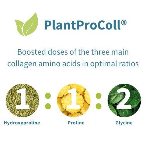 Vegan Pro-Collagen Protein Powder, Enhanced with Glycine, Proline & Hydroxyproline & Vitamin C, Original or Light Vanilla Flavour, 35 Servings