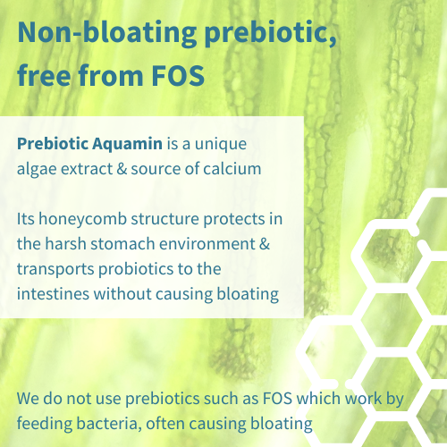 Live Cultures+ Lab4 Probiotics & Non-bloating Prebiotic, Lactobacillus & Bifidobacterium, 30 Capsules