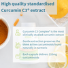 High Absorption Curcumin C3 Complex, 90 Capsules