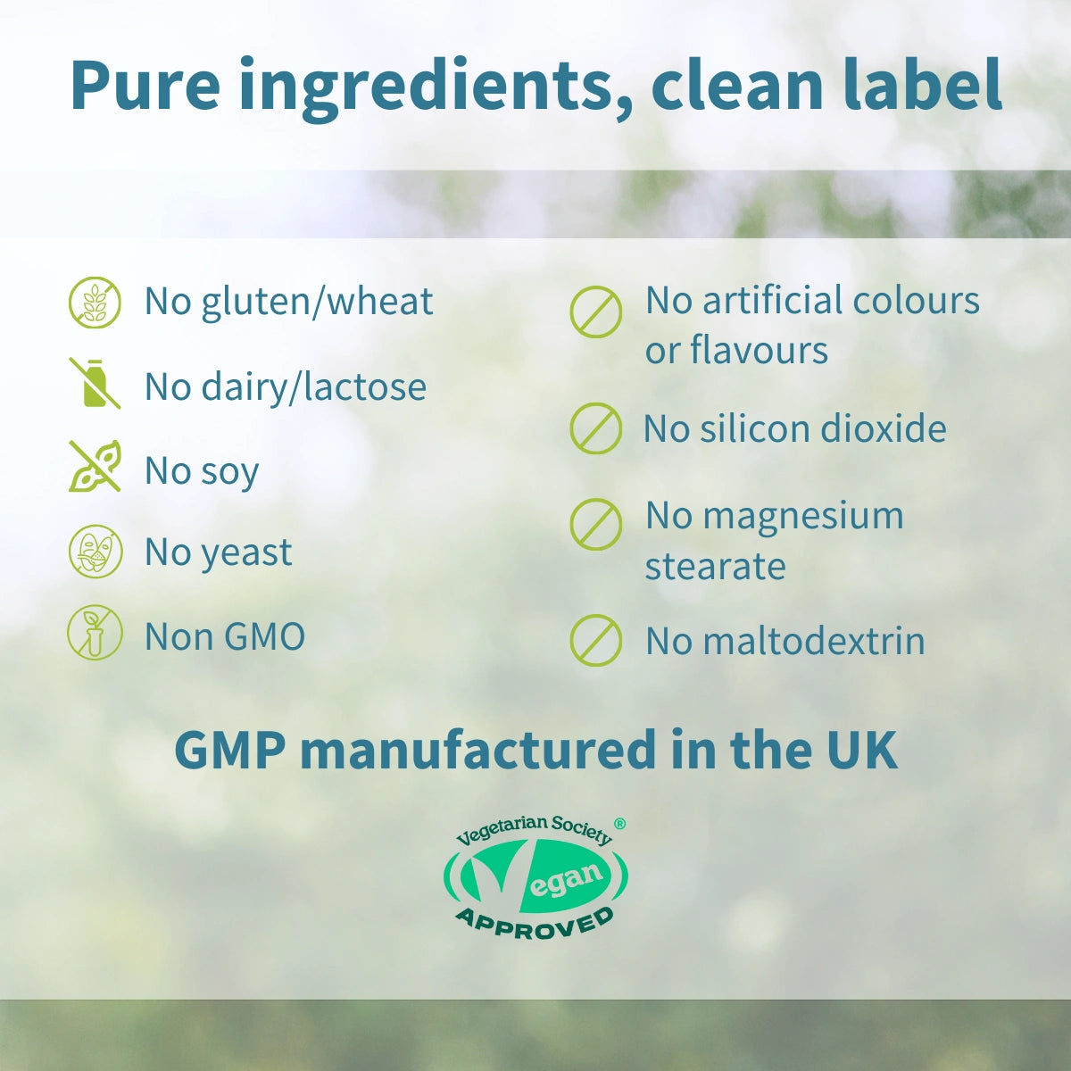 List of pure ingredients and manufacturing details with a focus on vegan approval.