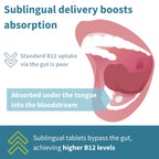 Diagram of a mouth with a sublingual tablet and text explaining sublingual delivery benefits.