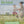 Advertisement for 'Be kind' nutrition products with a woman and child in a field.