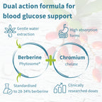 Diagram of Berberine Phytosome and Chromium chelate for blood glucose support with text on a floral background.