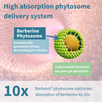 Berberine phytosome delivery system with text explaining its benefits on a pink background.