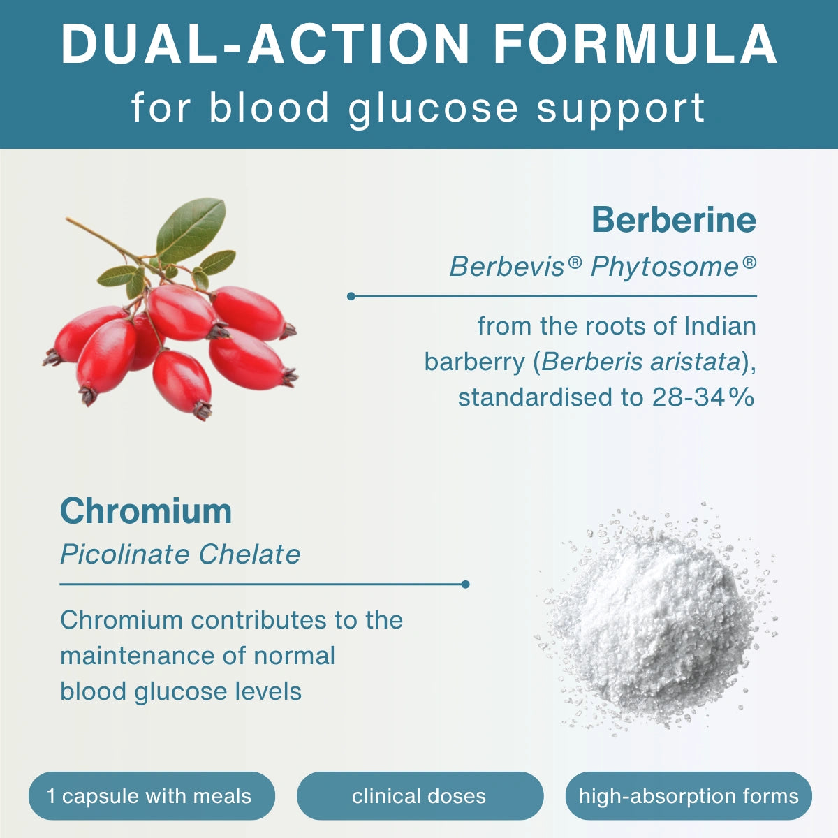 Product label for dual-action formula with Berberine and Chromium Picolinate Chelate on a blue and white background.