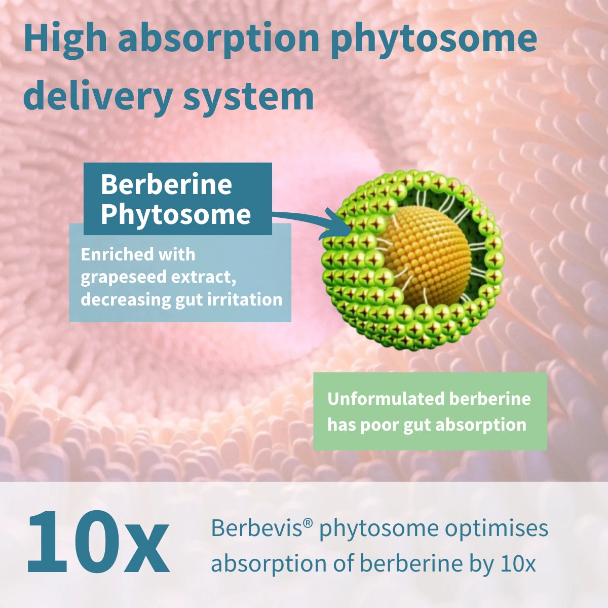 Berberine Phytosome & Chromium Picolinate, Blood Glucose Control Supplement, Vegan, 60 Capsules