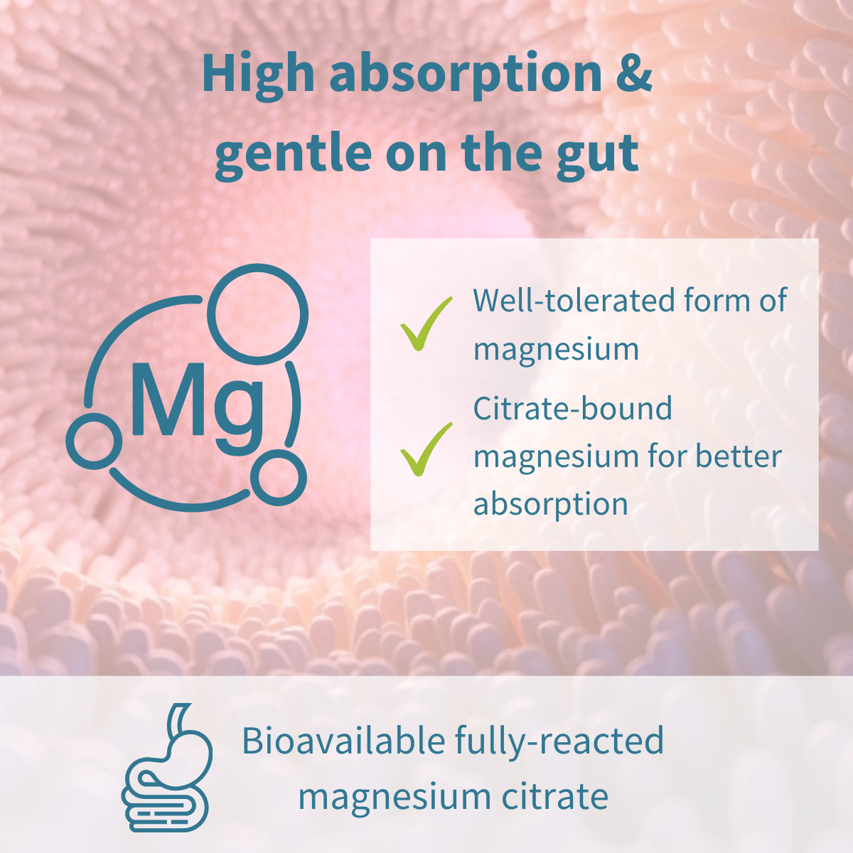 Calm Magnesium Gummies, with L-Theanine & Vitamin B6, for Kids & Adults, 90 Gummies