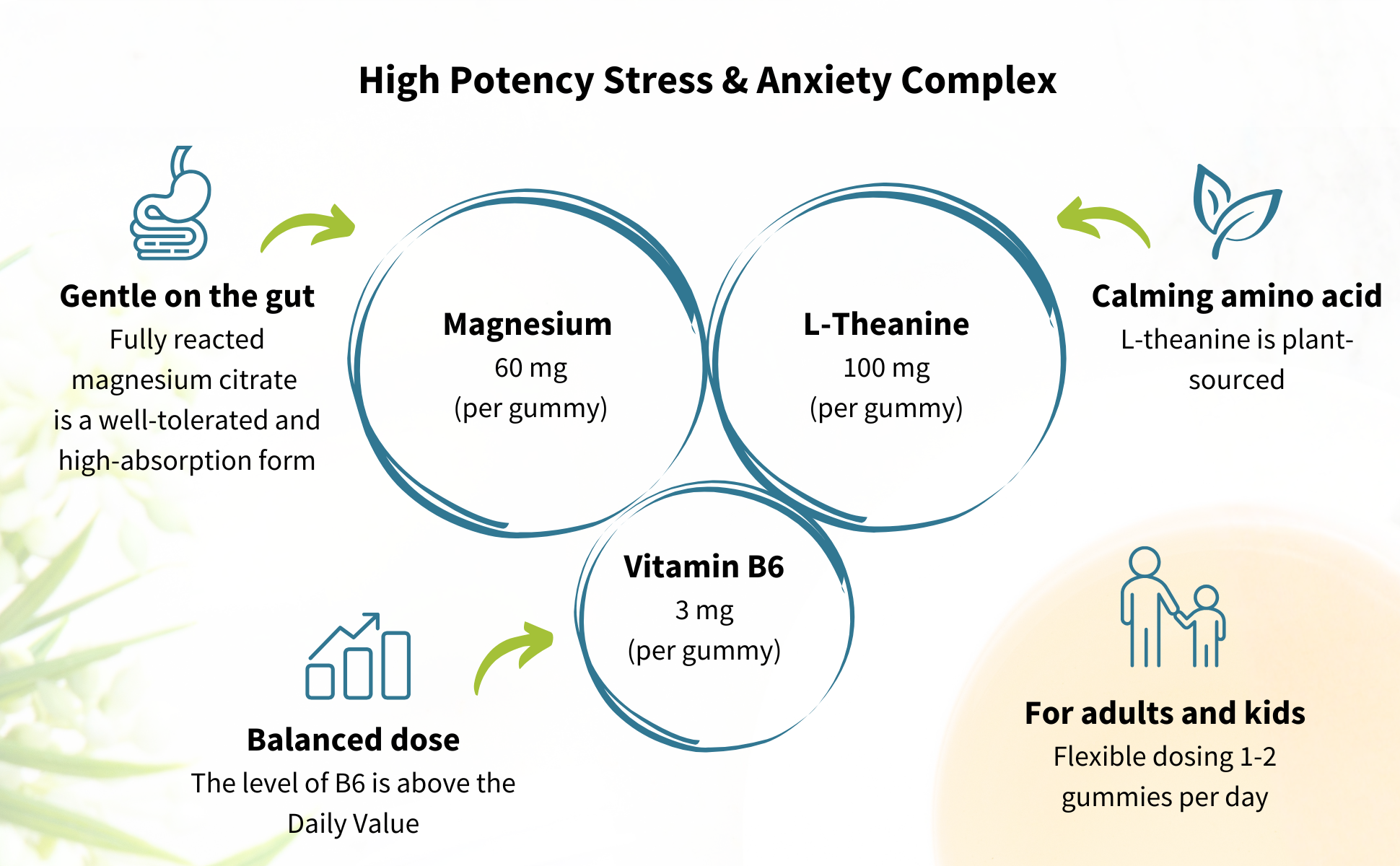 High Potency Stress & Anxiety Complex infographic with magnesium, L-theanine, and vitamin B6 gummy benefits.