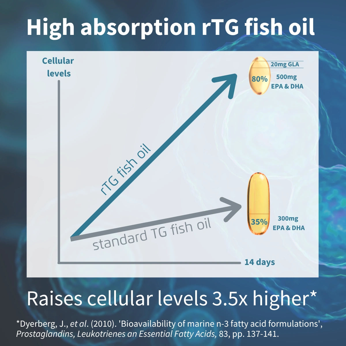 Diagram comparing high absorption rTG fish oil to standard TG fish oil with text and graphics.