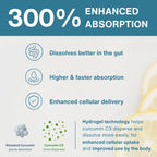 Infographic highlighting 300% enhanced absorption with hydrogel technology and curcumin C3 benefits.