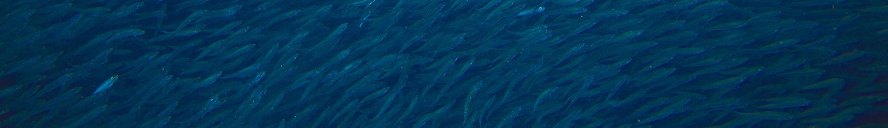 Close-up of blue fabric texture