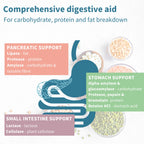 Diagram of digestive system with text on pancreatic, stomach, and small intestine support enzymes.