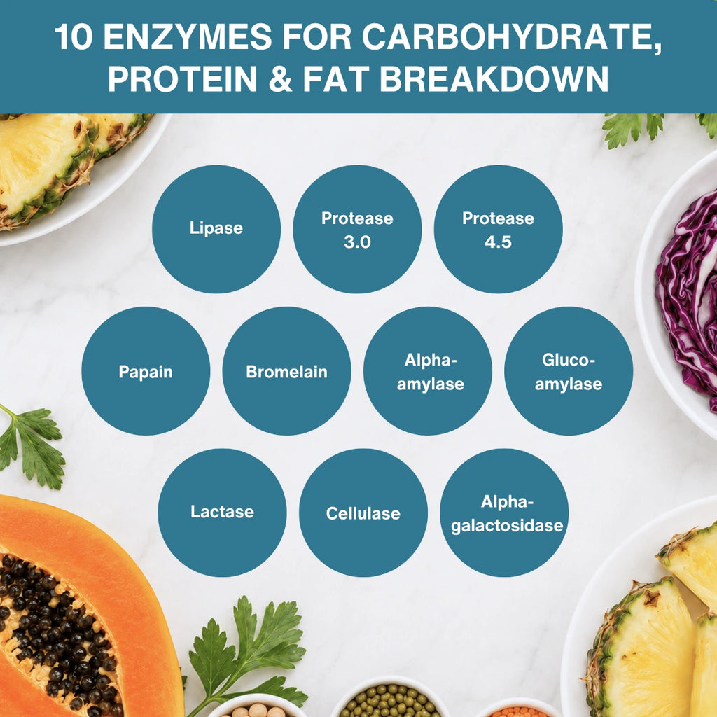 An infographic titled '10 ENZymes FOR CARBOHYDRATE, PROTEIN & FAT BREAKDOWN' on a white background with a teal header. Nine circular teal labels list enzyme names: Lipase, Protease 3.