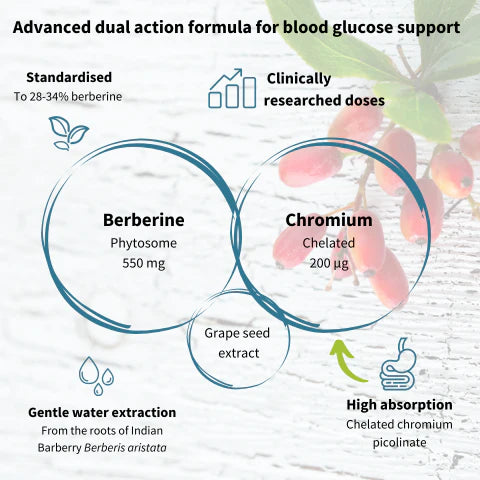 Diagram of an advanced dual-action formula for blood glucose support with Berberine and Chromium.