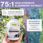 A hand holds a white bottle of Be kind Elderberry Immune Gummies against an outdoor blurred background of green leaves and purple flowers. The image features promotional text overlays highlighting '75:1 High-Strength Elderberry Extract' and product benefits.