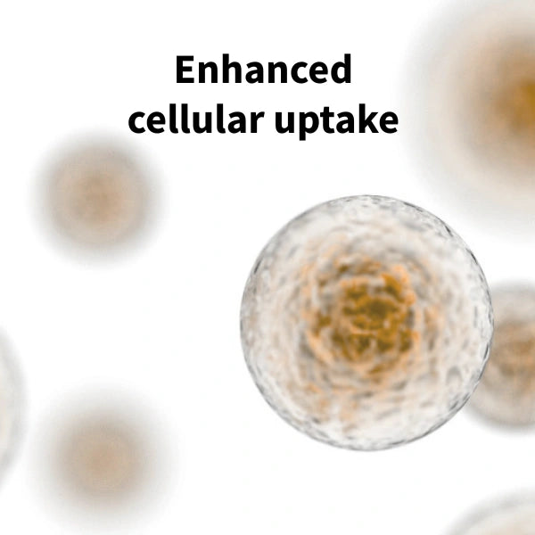 A scientific graphic showing a close-up of a cell with the text 'Enhanced cellular uptake' above it, on a white background with blurred cells in the background.