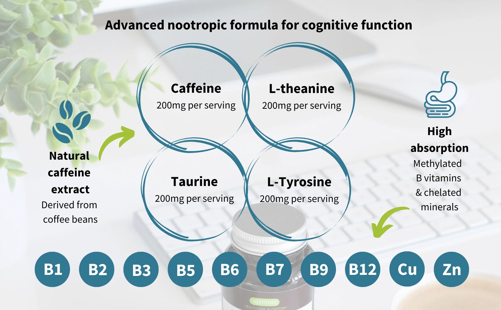 Nootropic supplement with ingredients and benefits on a white background