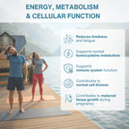 Two people practicing yoga by a lake with text about energy, metabolism, and cellular function.