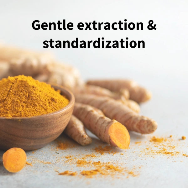 A bowl of bright orange-yellow turmeric powder with whole turmeric roots and a sliced piece beside it on a light surface, with the text 'Gentle extraction & standardization' above.