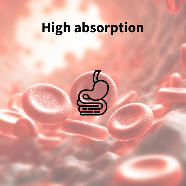 High absorption