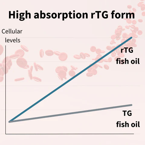 Graph comparing high absorption rTG form and TG fish oil with cellular levels on a pink background.