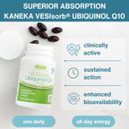 VESIsorb® Ubiquinol-QH Premium Coenzyme Q10 100mg, 30-90 Softgels