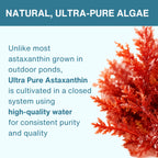 Astaxanthin Complex, 4mg Astaxanthin from 42mg Microalgae Complex Oil, Ultra-Pure & Vegan, 90 Softgels