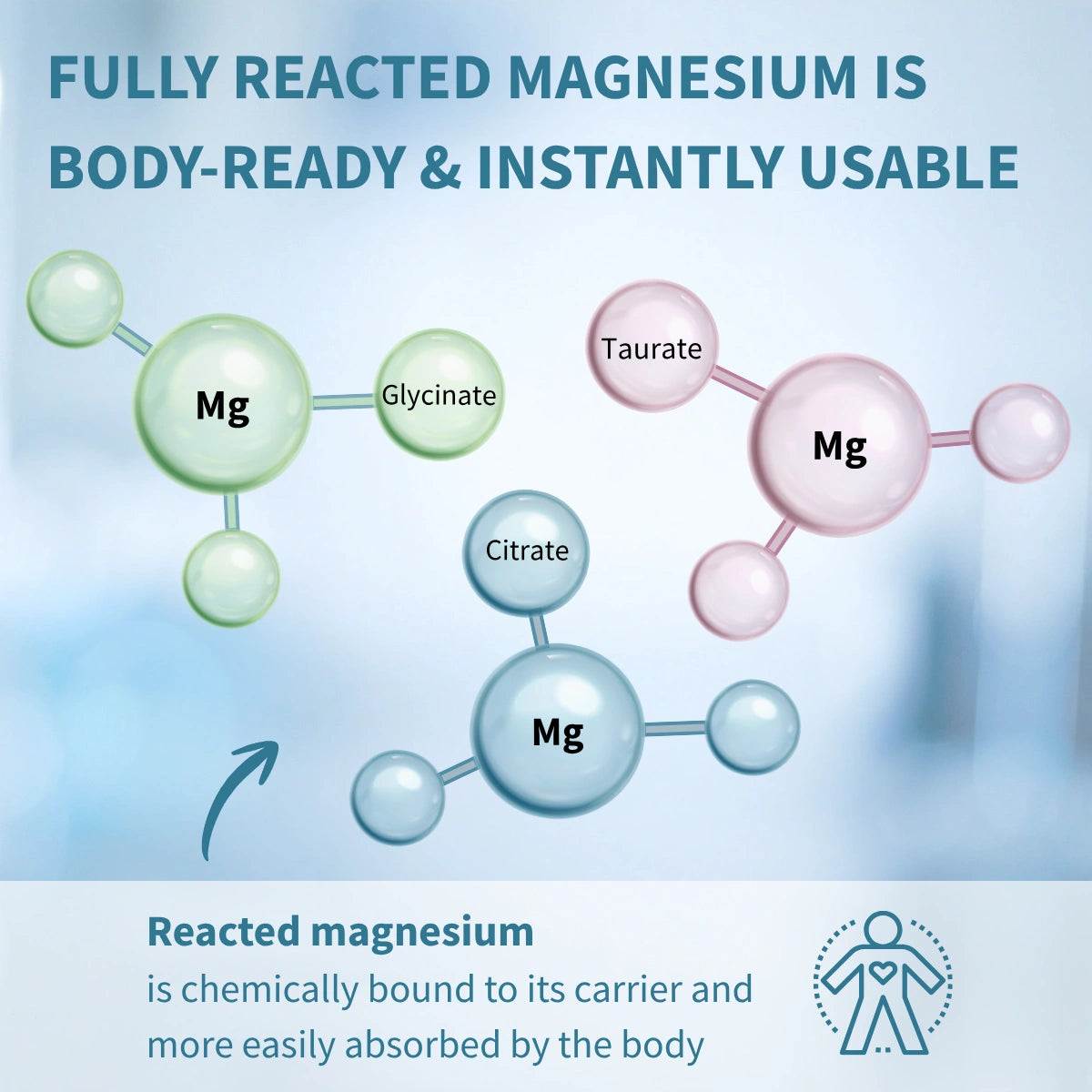 Triple Magnesium Complex, Fully Reacted and Chelated Magnesium Citrate, Bisglycinate & Taurate, 60-180 Tablets