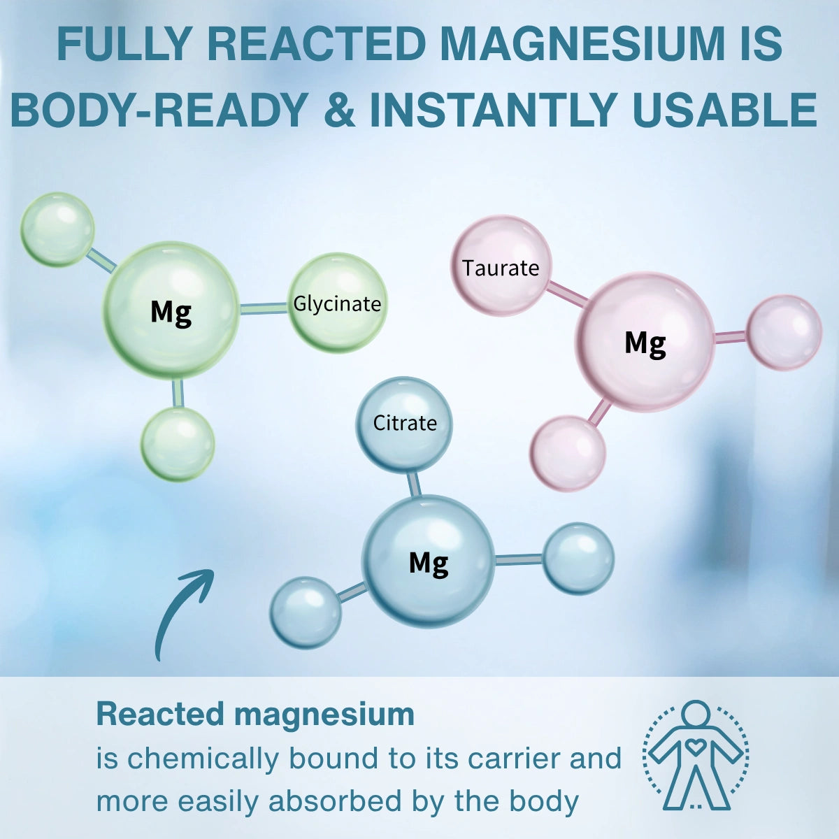 Triple Magnesium Complex, Fully Reacted and Chelated Magnesium Citrate, Bisglycinate & Taurate, 60-180 Tablets