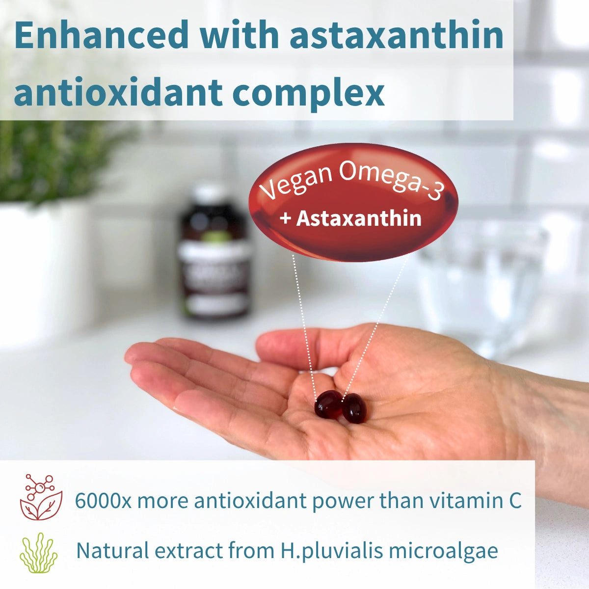 Vegan Omega-3 Algae Oil, 400mg DHA & 200mg EPA & Astaxanthin, 60-180 Softgels