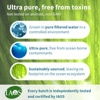 Vegan Omega-3 Algae Oil, 400mg DHA & 200mg EPA & Astaxanthin, 60-180 Softgels